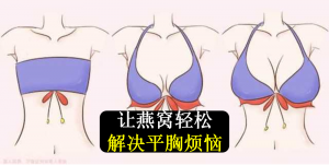 鲜奶炖燕-小小燕窝, 帮你轻松解决平胸烦恼！