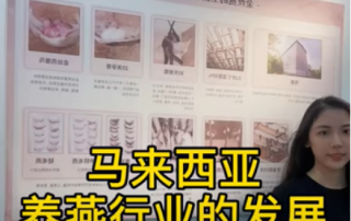 马来西亚养燕